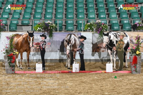 Preview Youth Walk Trot Showmanship GP5_3465.jpg